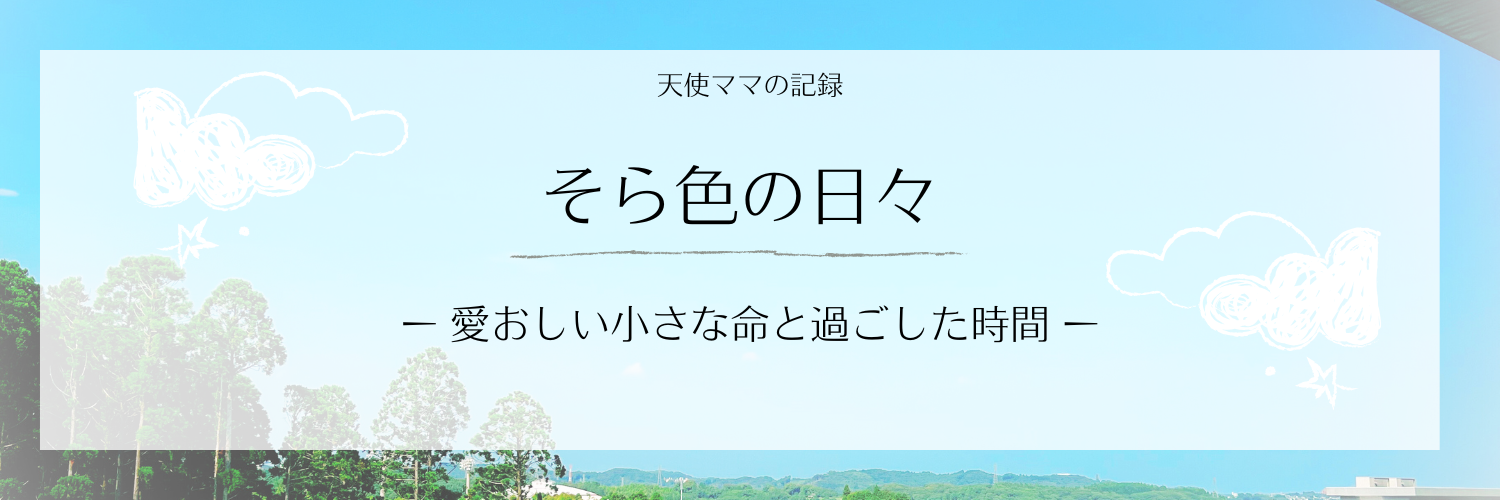 そら色の日々ー愛おしい小さな命と過ごした時間ー